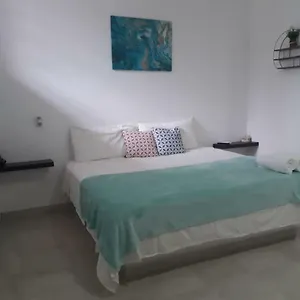 Estudio Nuevo En Centro Cancún